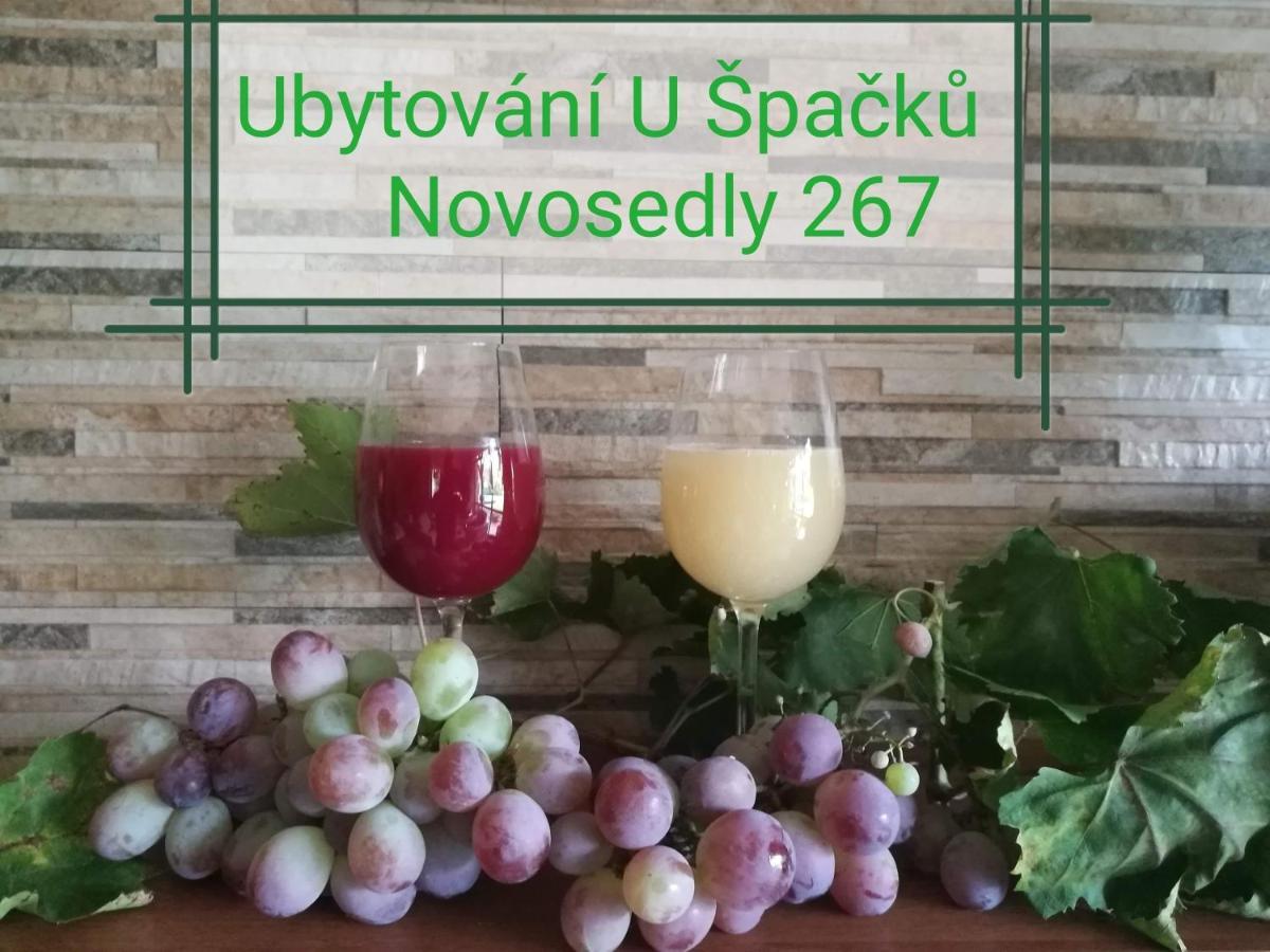 Ubytování U Špačků Pálava Novosedly  Esterno foto