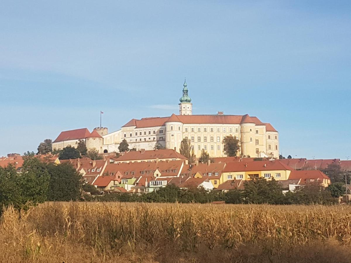 Ubytování U Špačků Pálava Novosedly  Esterno foto