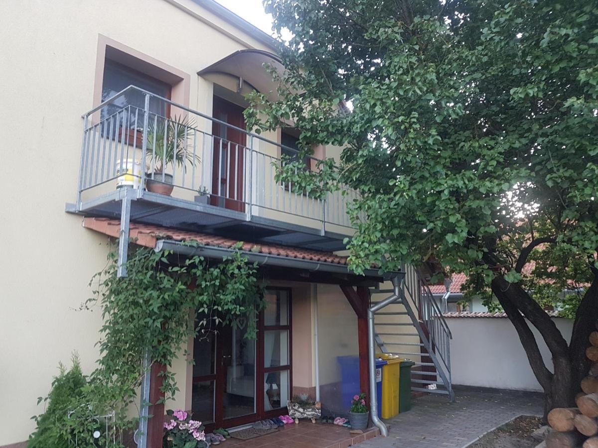 Ubytování U Špačků Pálava Novosedly  Esterno foto