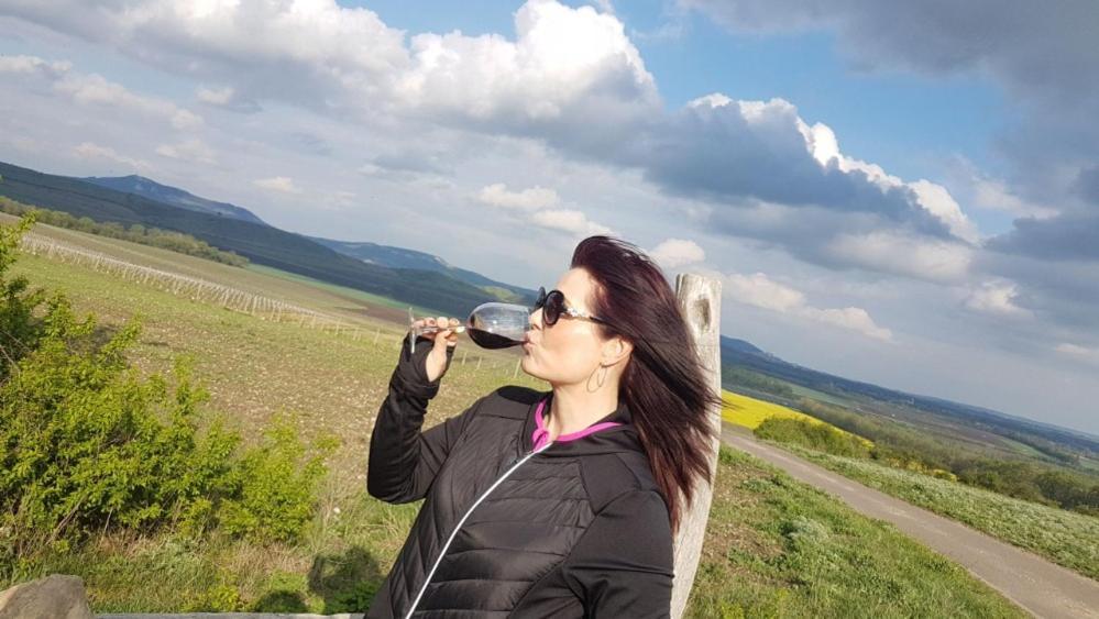 Ubytování U Špačků Pálava Novosedly  Esterno foto