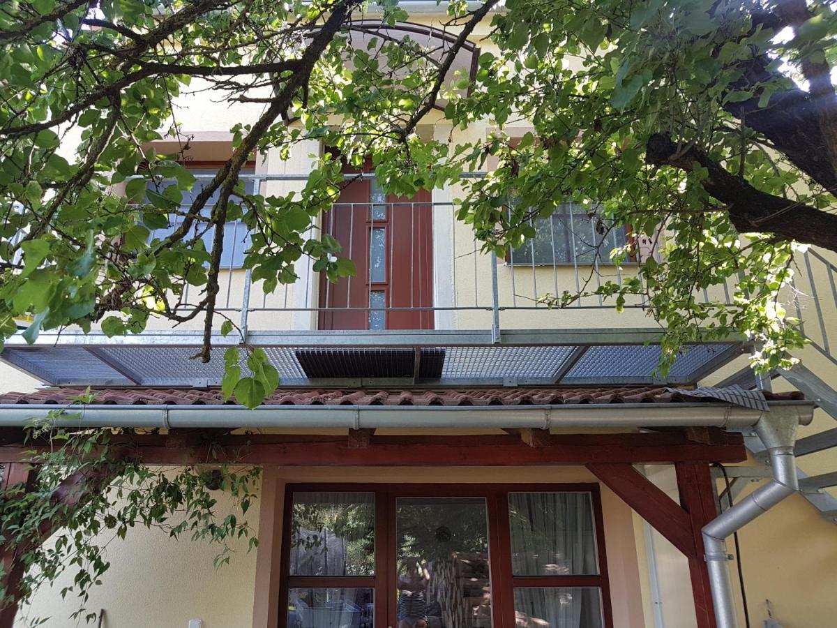 Ubytování U Špačků Pálava Novosedly  Esterno foto