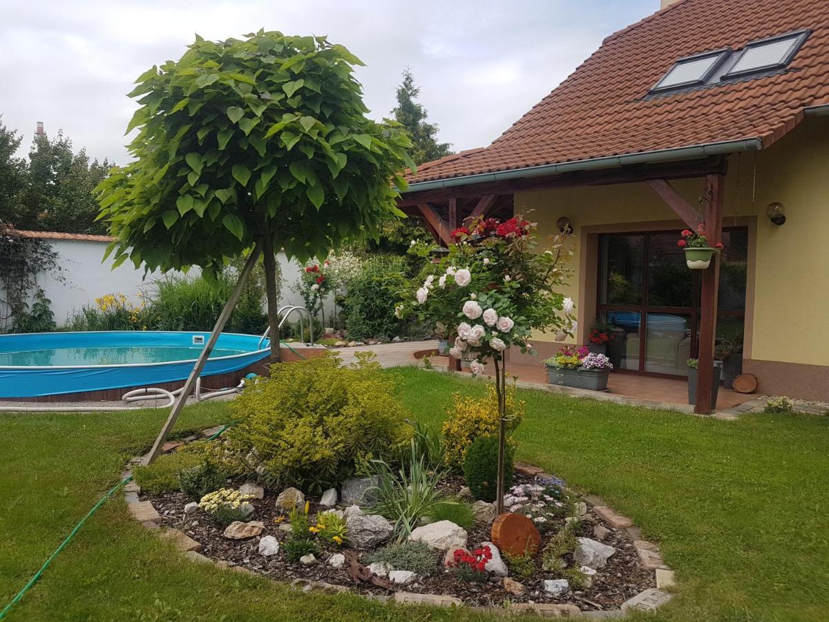 Ubytování U Špačků Pálava Novosedly  Esterno foto
