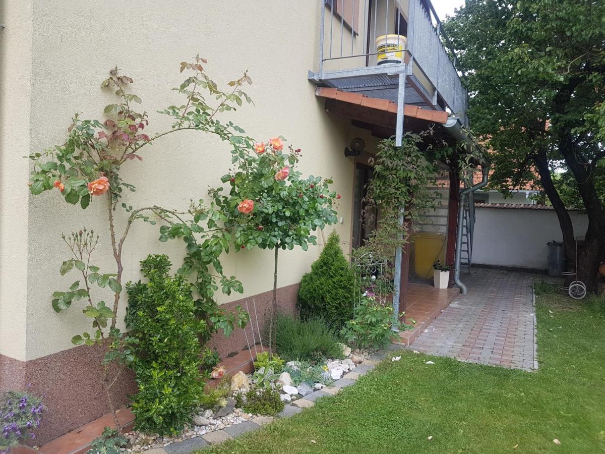 Ubytování U Špačků Pálava Novosedly  Esterno foto
