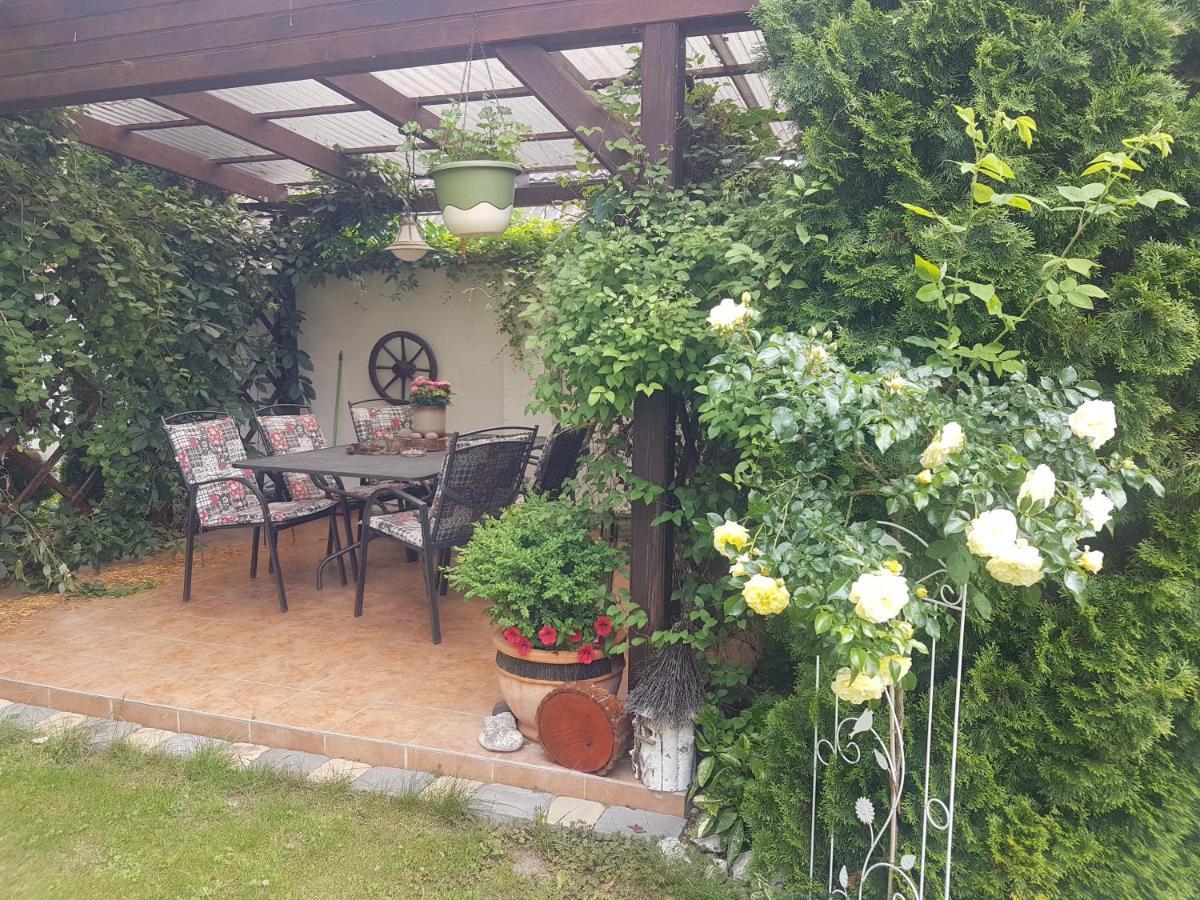 Ubytování U Špačků Pálava Novosedly  Esterno foto