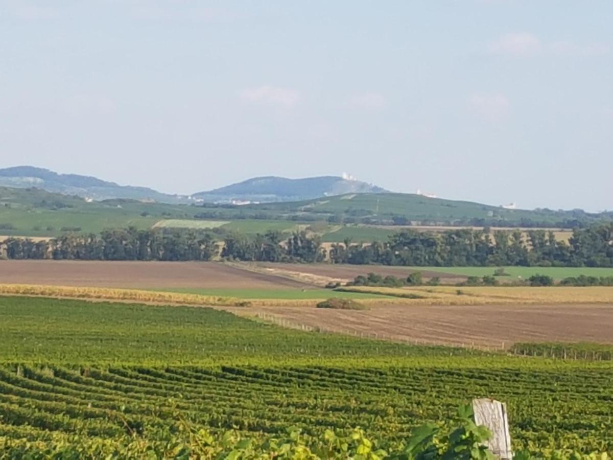 Ubytování U Špačků Pálava Novosedly  Esterno foto