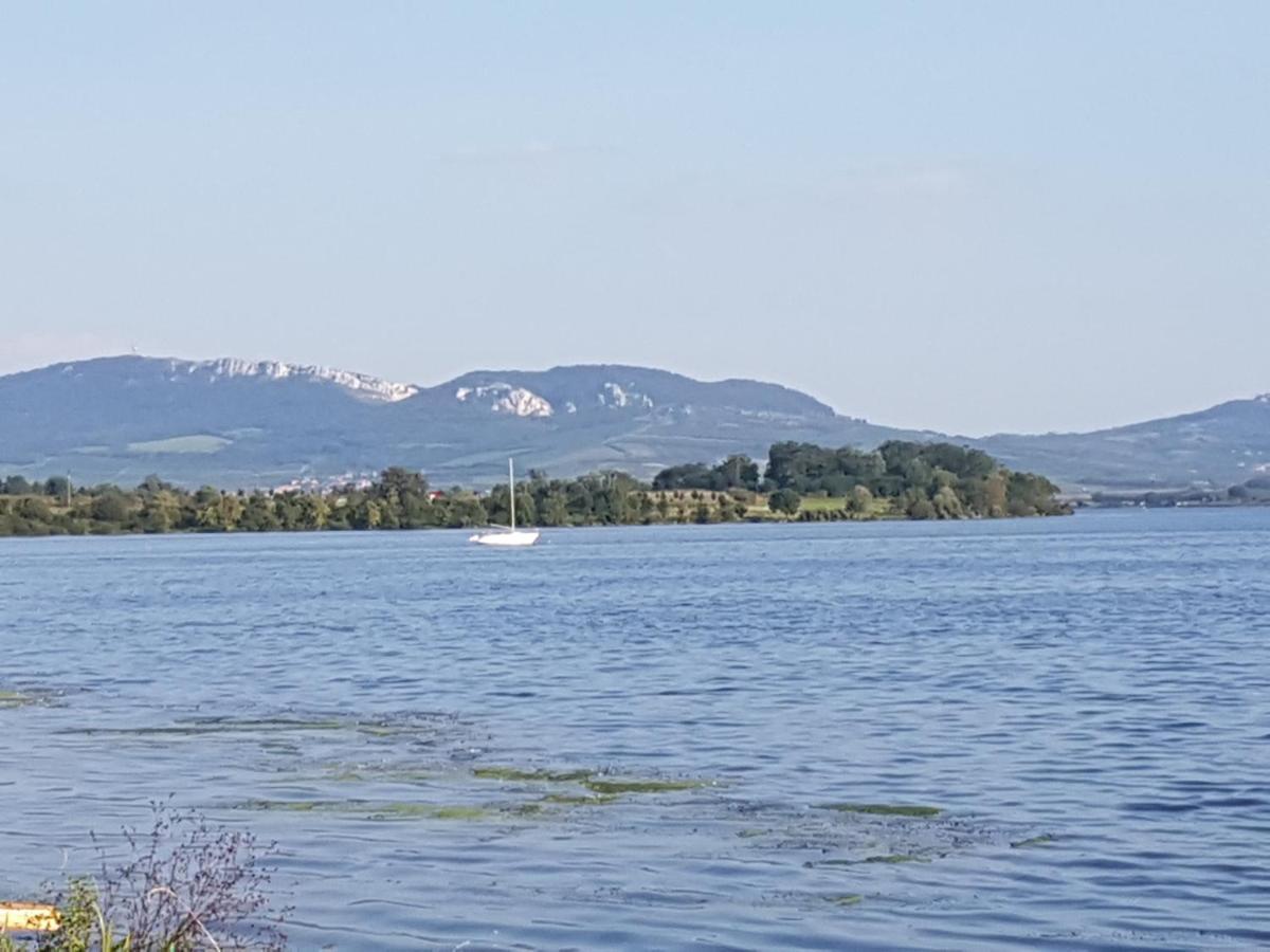 Ubytování U Špačků Pálava Novosedly  Esterno foto