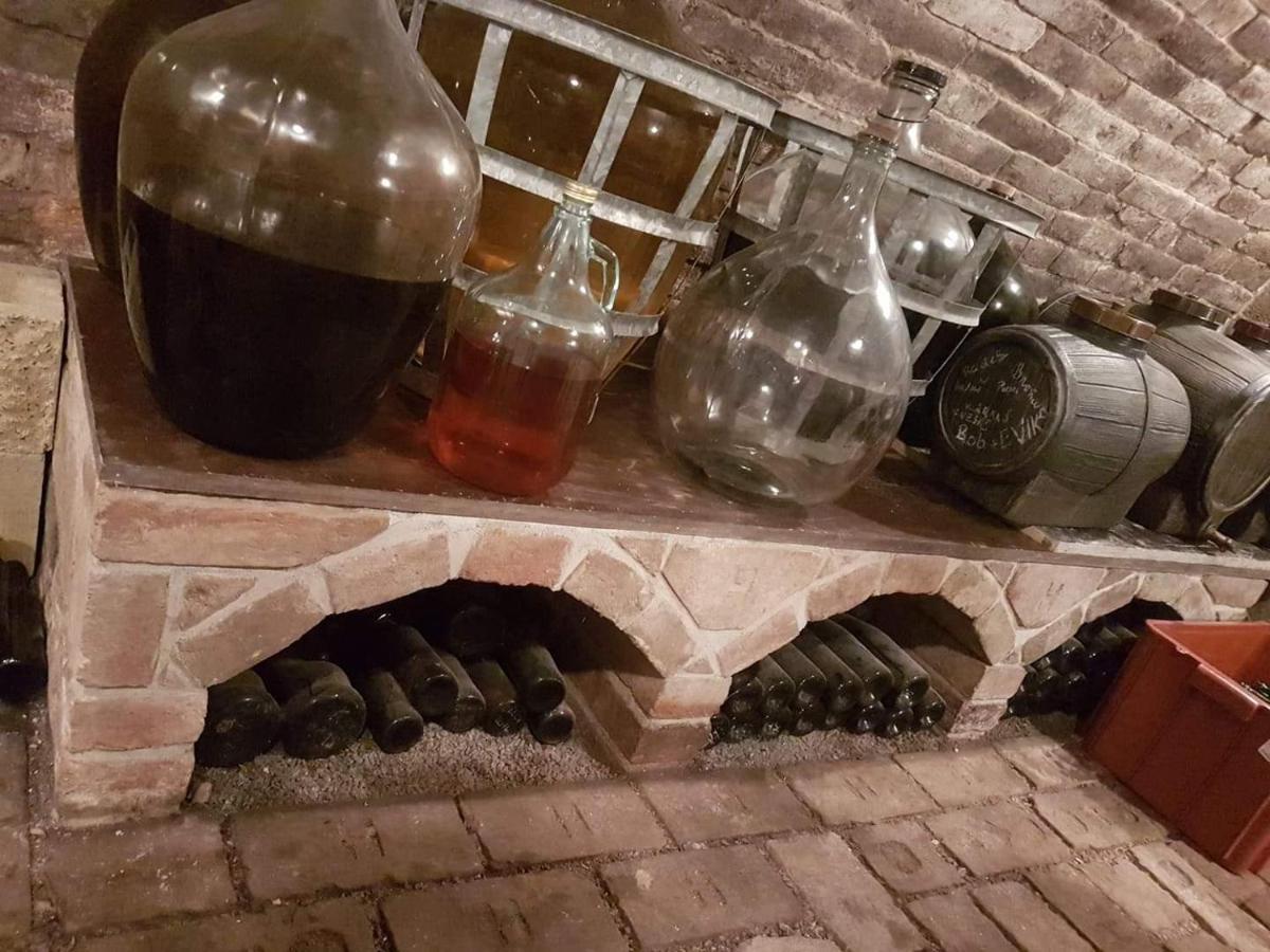 Ubytování U Špačků Pálava Novosedly  Esterno foto