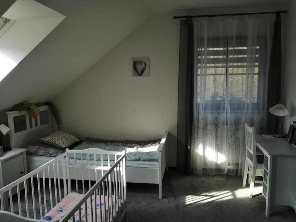 Ubytování U Špačků Pálava Novosedly  Esterno foto