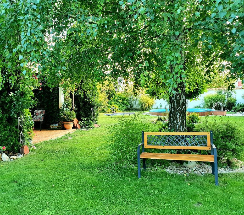 Ubytování U Špačků Pálava Novosedly  Esterno foto