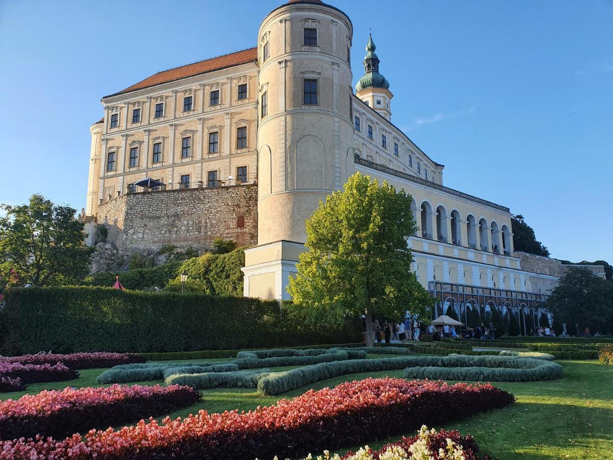 Ubytování U Špačků Pálava Novosedly  Esterno foto