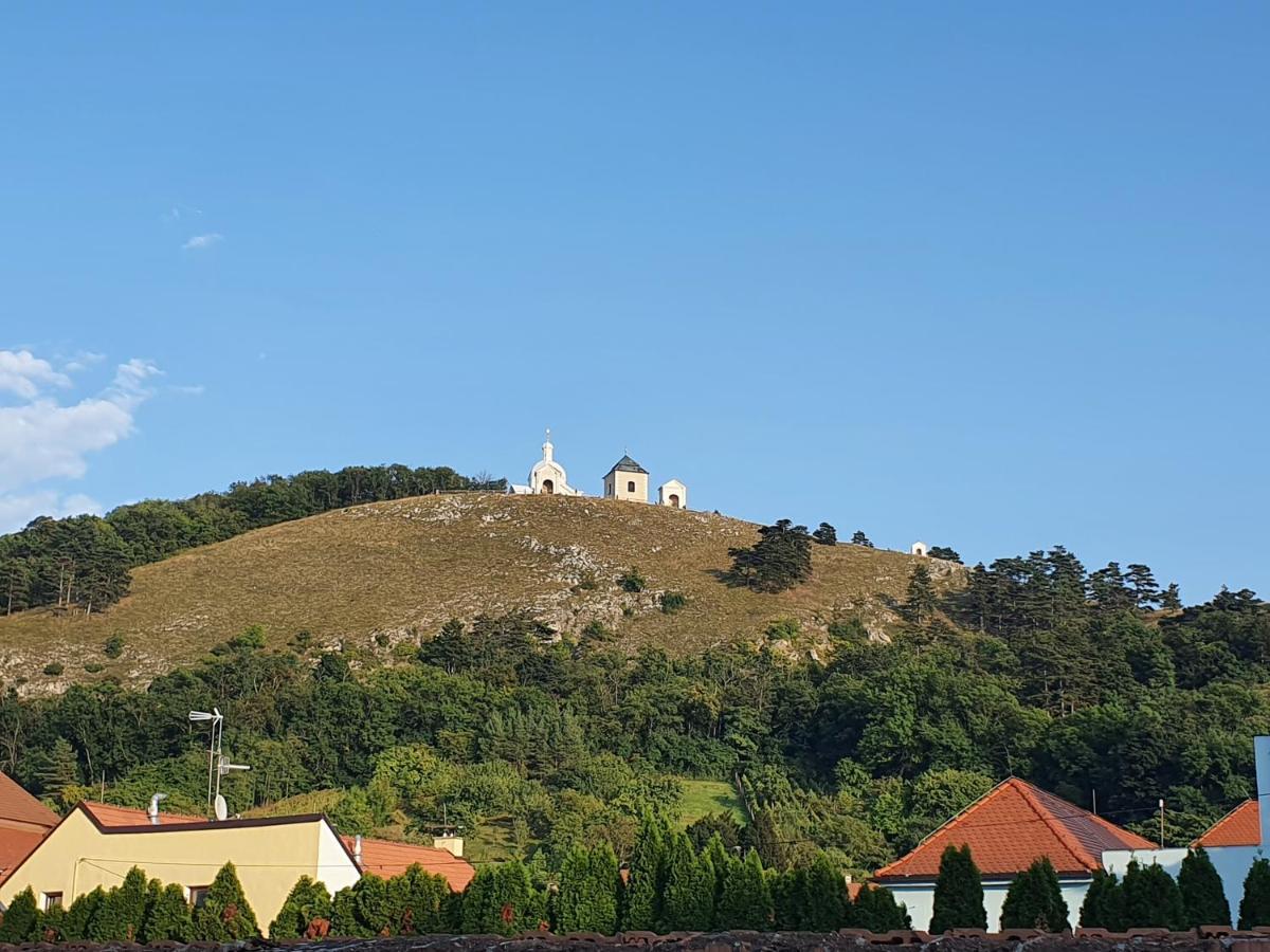 Ubytování U Špačků Pálava Novosedly  Esterno foto